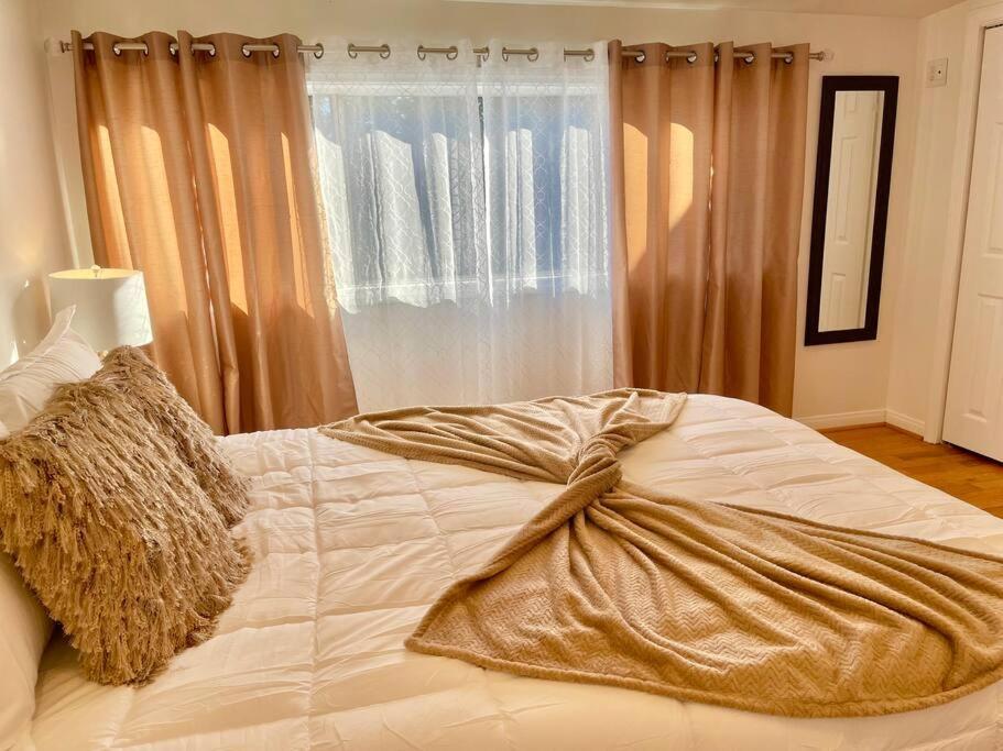 New Charming Spacious Disneyland Pool * Garden Grove